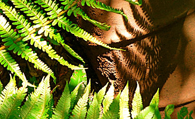 短信验证码轰炸平台免费